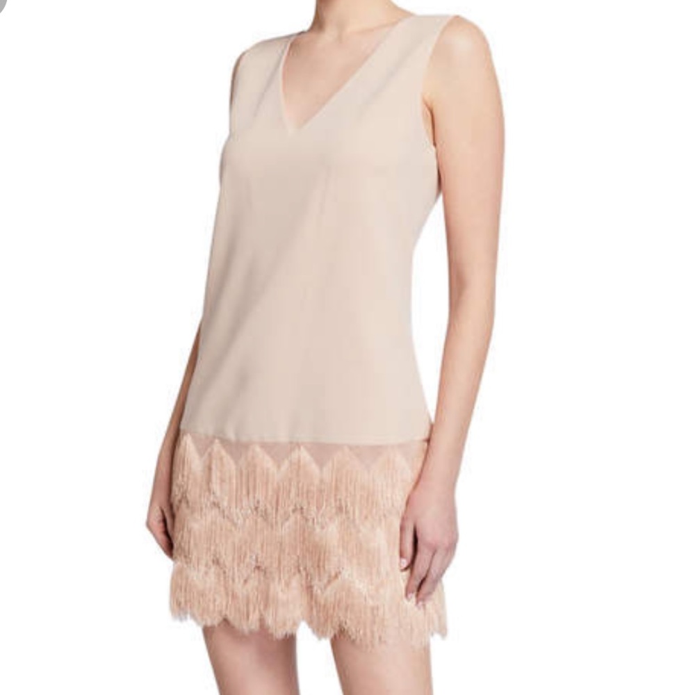 BCBGMaxAzria Blush V-Neck Mini Dress